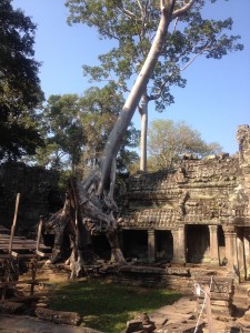 Ankor_wat-Tag_2-576